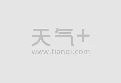 玫瑰染成蓝色妖姬 七夕送女朋友什么花