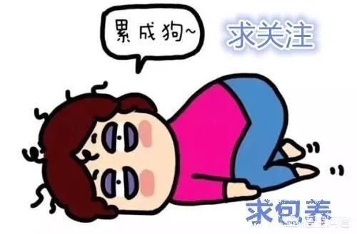 支持率创新低，安倍内阁会因为“地价门”辞职么？