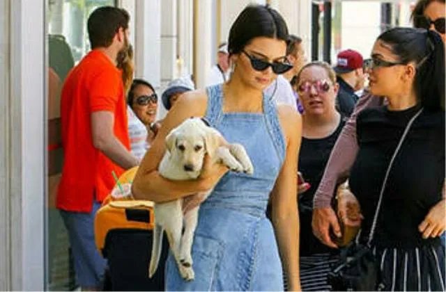 身材肥胖的人如何穿衣服显气质？