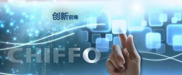 S前锋的公司简介