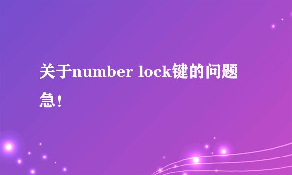 关于number lock键的问题 急！