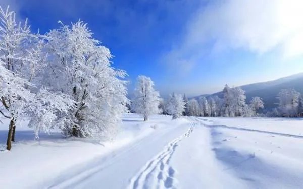 关于茅台集团员工一律不允许离开仁怀一事，你有何看法？