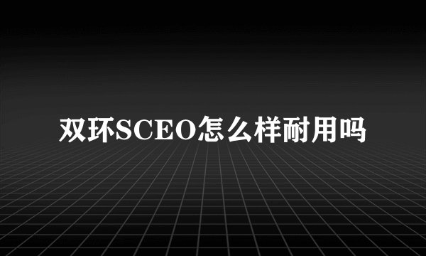 双环SCEO怎么样耐用吗