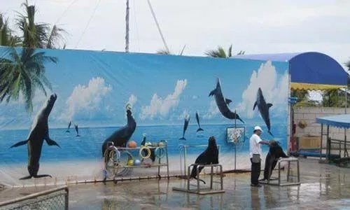 海口热带海洋世界怎么样？