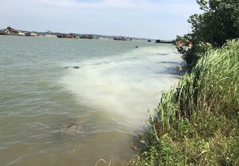 药企污水偷排湘江 记者暗访药企偷排现场画面曝光