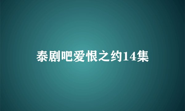 泰剧吧爱恨之约14集