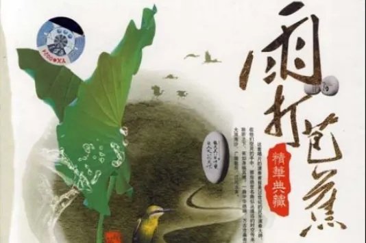 雨打芭蕉是我国哪个地方的音乐代表