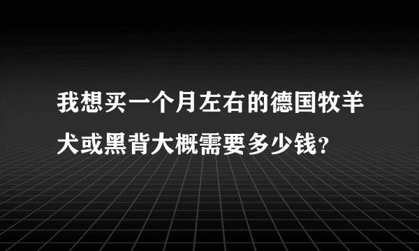 我想买一个月左右的德国牧羊犬或黑背大概需要多少钱？