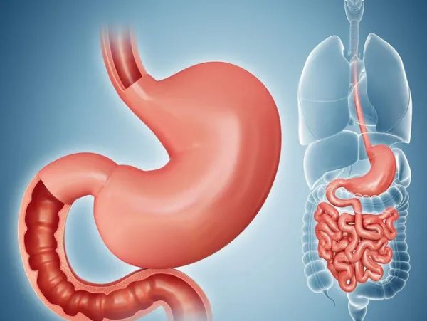 妹妹捐小肠给姐姐是什么情况？