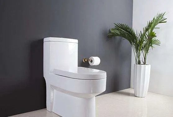 有移位器不可以用虹吸马桶吗