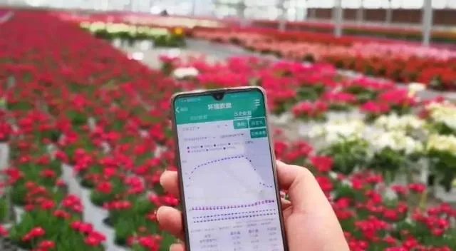 国家级现代农业示范区的标准？