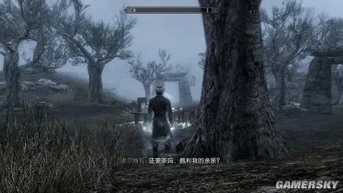 《上古卷轴5》支线任务“疯狂的思想”图文攻略