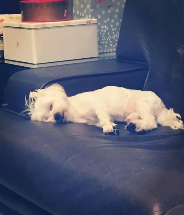 俄罗斯的通灵节目是真的吗？