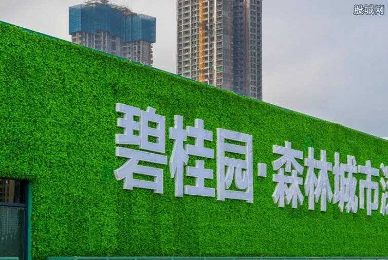 碧桂园回应禁售 创始人杨国强表示不退出并将继续投资