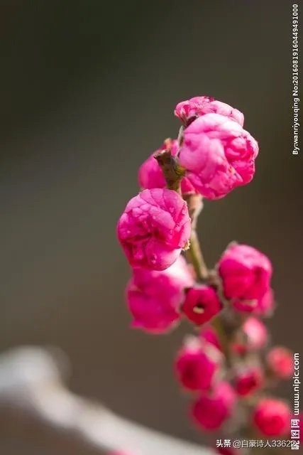 王宝强的母亲去世了，为什么媒体铺天盖地的报道？