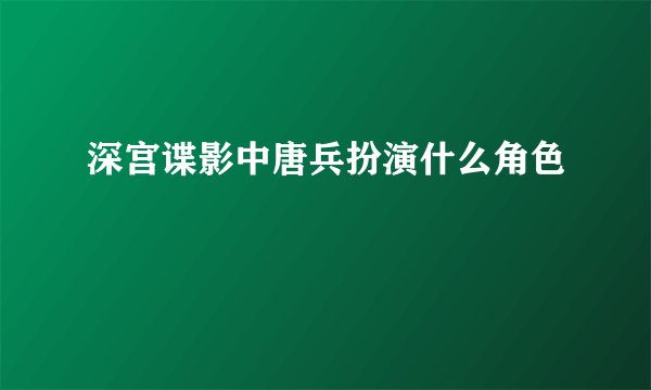 深宫谍影中唐兵扮演什么角色