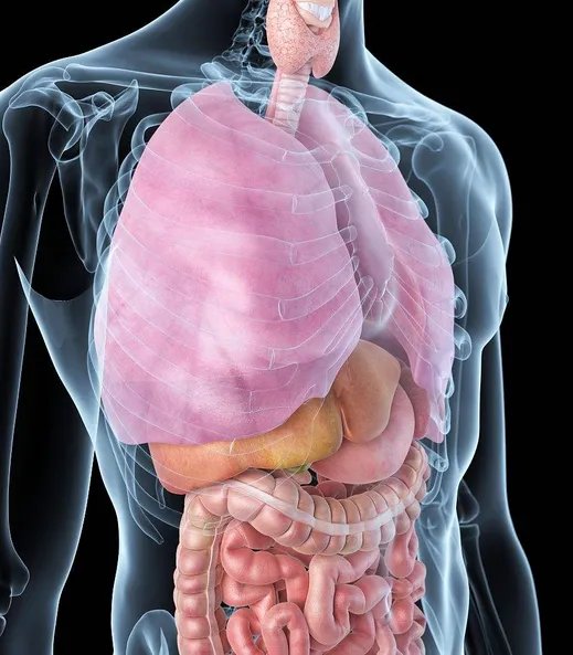 妹妹捐小肠给姐姐是什么情况？