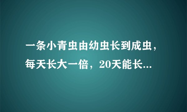 一条小青虫由幼虫长到成虫，每天长大一倍，20天能长到36厘米，问长到9厘米时要用几天？
