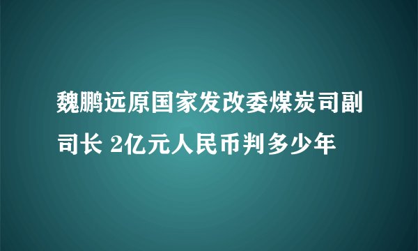魏鹏远原国家发改委煤炭司副司长 2亿元人民币判多少年