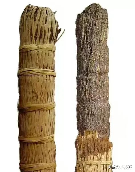 世界上有哪些历史情节，奇葩到小说都不敢那么写？