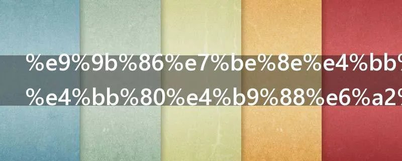 集美们这是什么梗