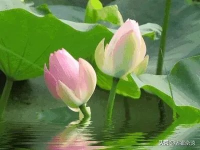 西安温泉哪里好又便宜？