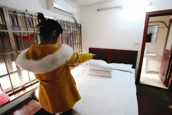 北京多人被狗咬是流浪狗吗?