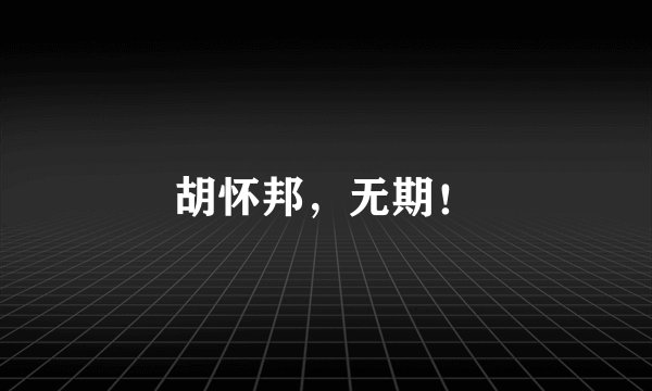 胡怀邦，无期！