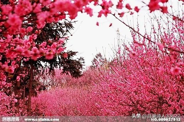 王宝强的母亲去世了，为什么媒体铺天盖地的报道？