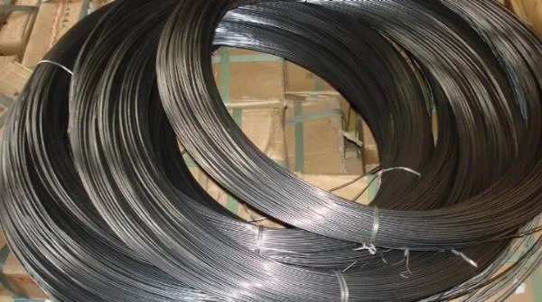 一位名叫努西达的人罹患一种罕见疾病，她从大学时身体就开始不断长出铁丝，这是为什么？