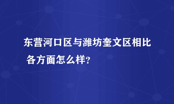 东营河口区与潍坊奎文区相比 各方面怎么样？