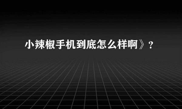 小辣椒手机到底怎么样啊》？