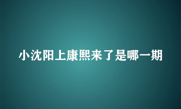 小沈阳上康熙来了是哪一期