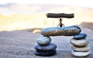 武大全场合唱夜空中最亮的星，有没有戳中你的泪点？