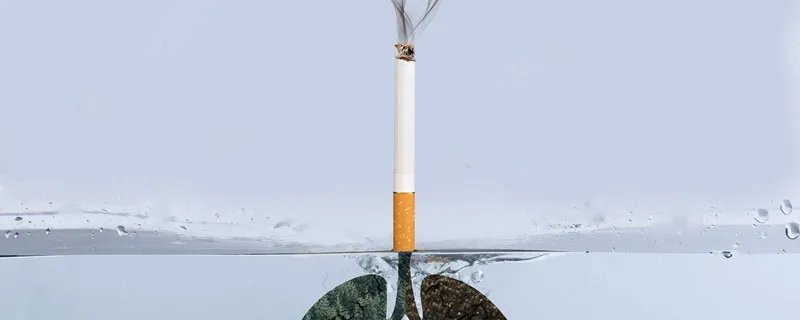 skt是哪个国家的品牌 skt是做什么的