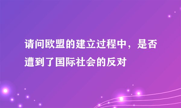 请问欧盟的建立过程中，是否遭到了国际社会的反对