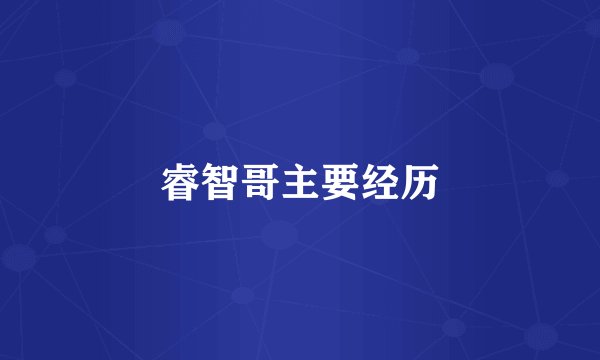 睿智哥主要经历