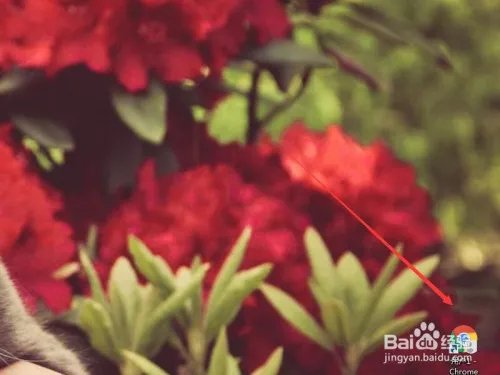 如何安装Google Keep扩展程序？