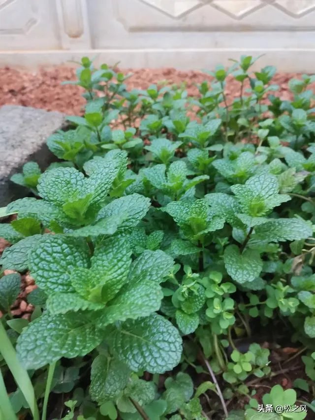 你认为2020年含金量较高的8大证书有哪些？