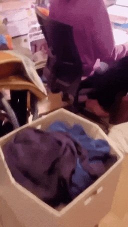 王宝强和女友牵手现身 伊织萌学会说中文的动态图