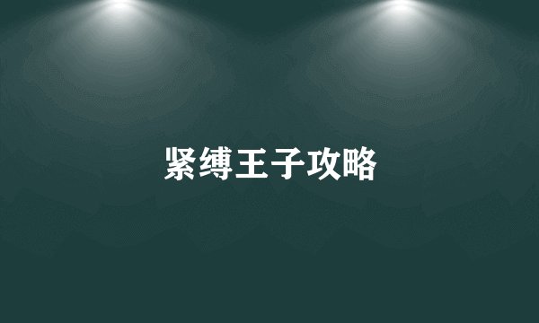 紧缚王子攻略