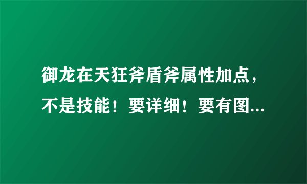 御龙在天狂斧盾斧属性加点，不是技能！要详细！要有图！其他人说什么全敏捷全力量我搞不懂。新手。