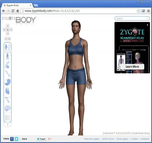 google人體瀏覽器安裝
