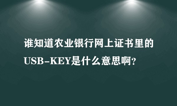 谁知道农业银行网上证书里的USB-KEY是什么意思啊？