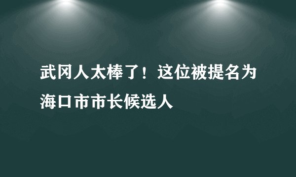 武冈人太棒了！这位被提名为海口市市长候选人