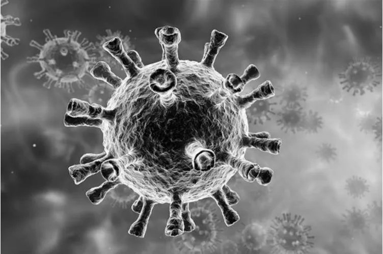 专家称印度疫情可能扩散至中国，我们该怎么预防疫情？