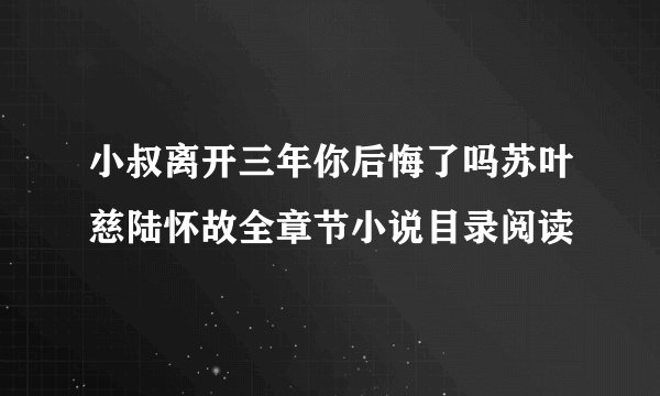 小叔离开三年你后悔了吗苏叶慈陆怀故全章节小说目录阅读
