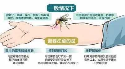 小腿被蚊子叮溃烂怎么办？蚊子咬了很痒怎么办？