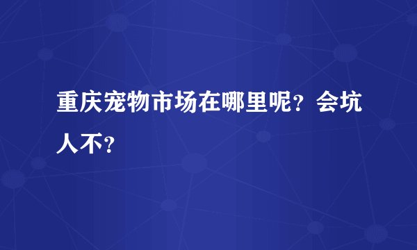 重庆宠物市场在哪里呢？会坑人不？