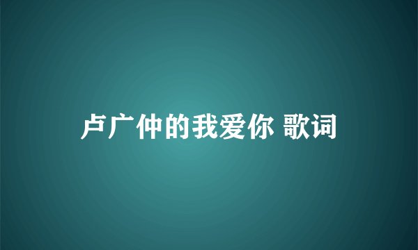 卢广仲的我爱你 歌词